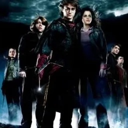 Harry Potter and the Goblet of Fire movie