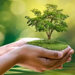 World Environment Day awareness nature