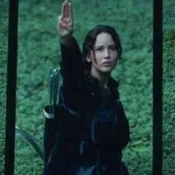 Hunger Games first movie scenes