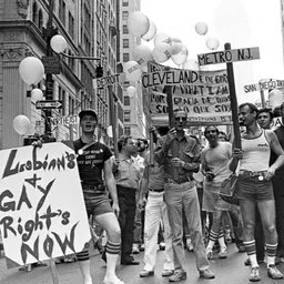 LGBTQ+ rights milestones