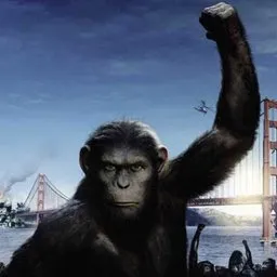 Rise of the Planet of the Apes movie poster